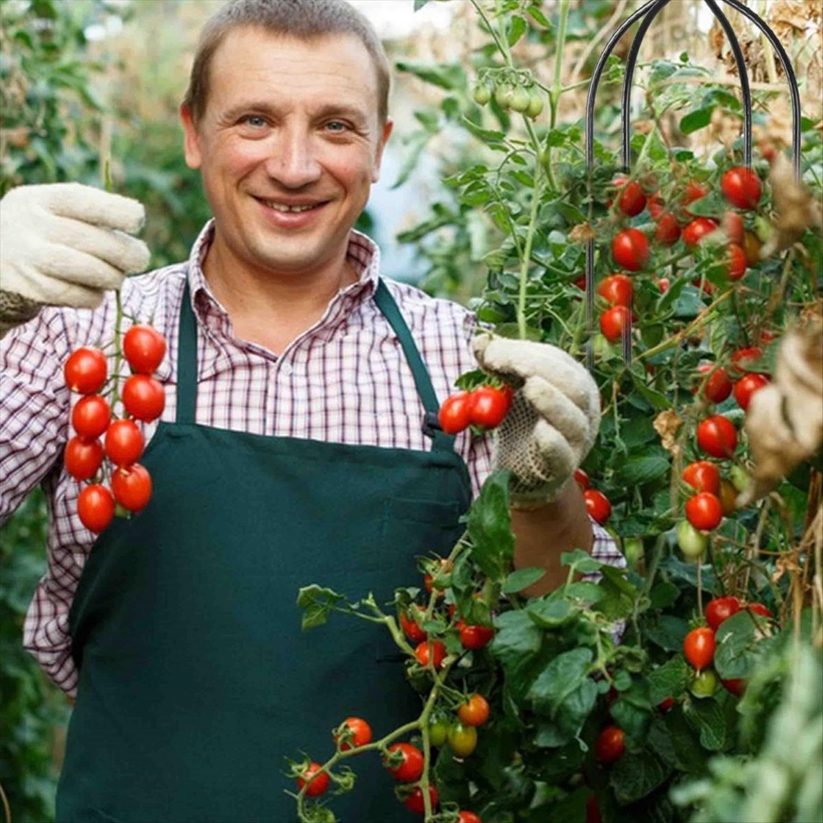 Gardening Tools B&M - Опора-обелиск для вьющихся растений AT16, садовая