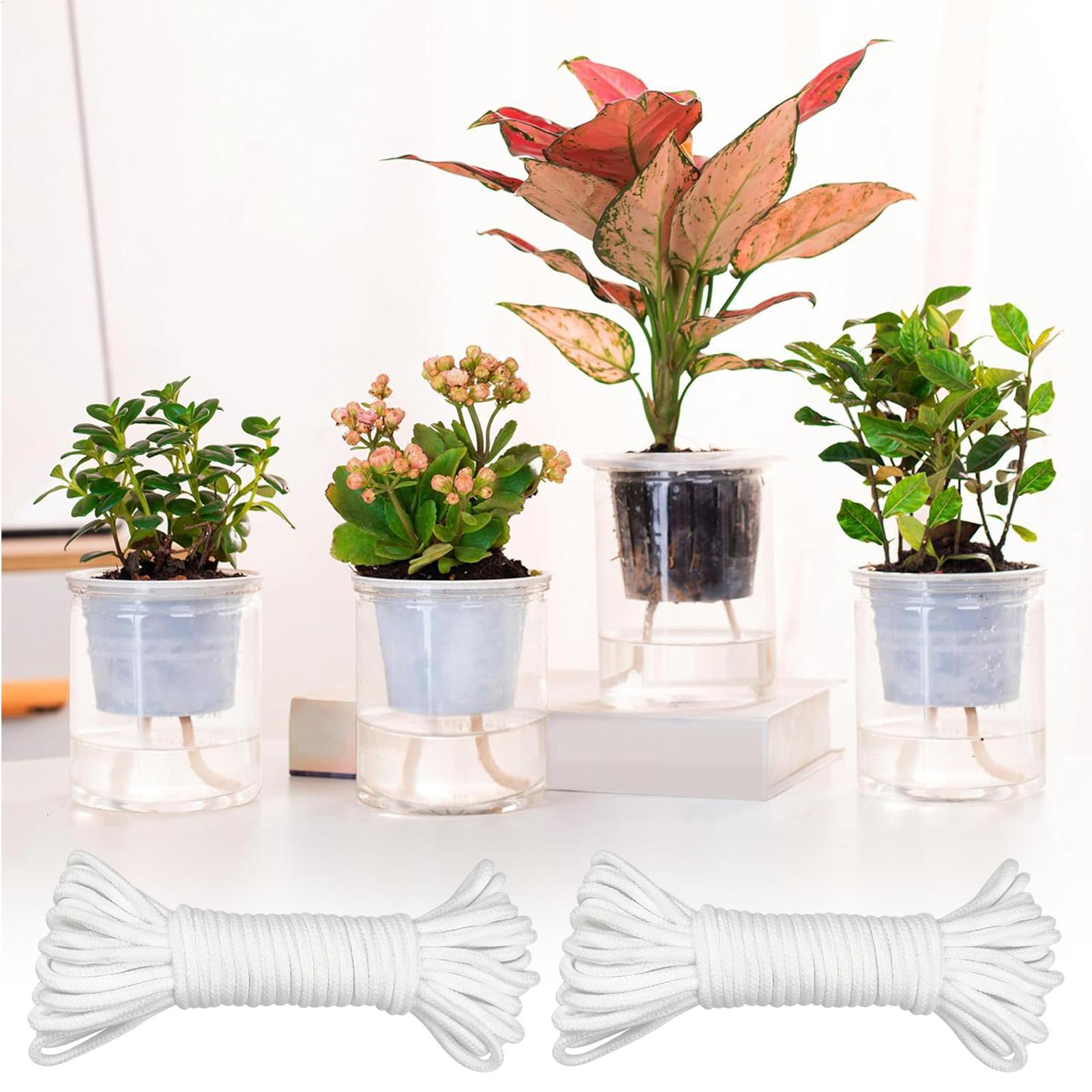Система капиллярного полива дл – обзор и цена Self-Watering Planter