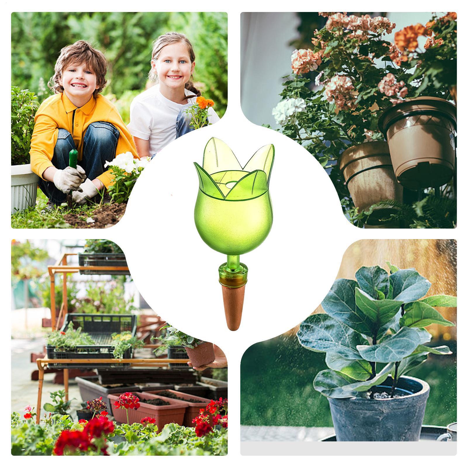 Устройства для самостоятельног – обзор и цена Self-Watering Planter
