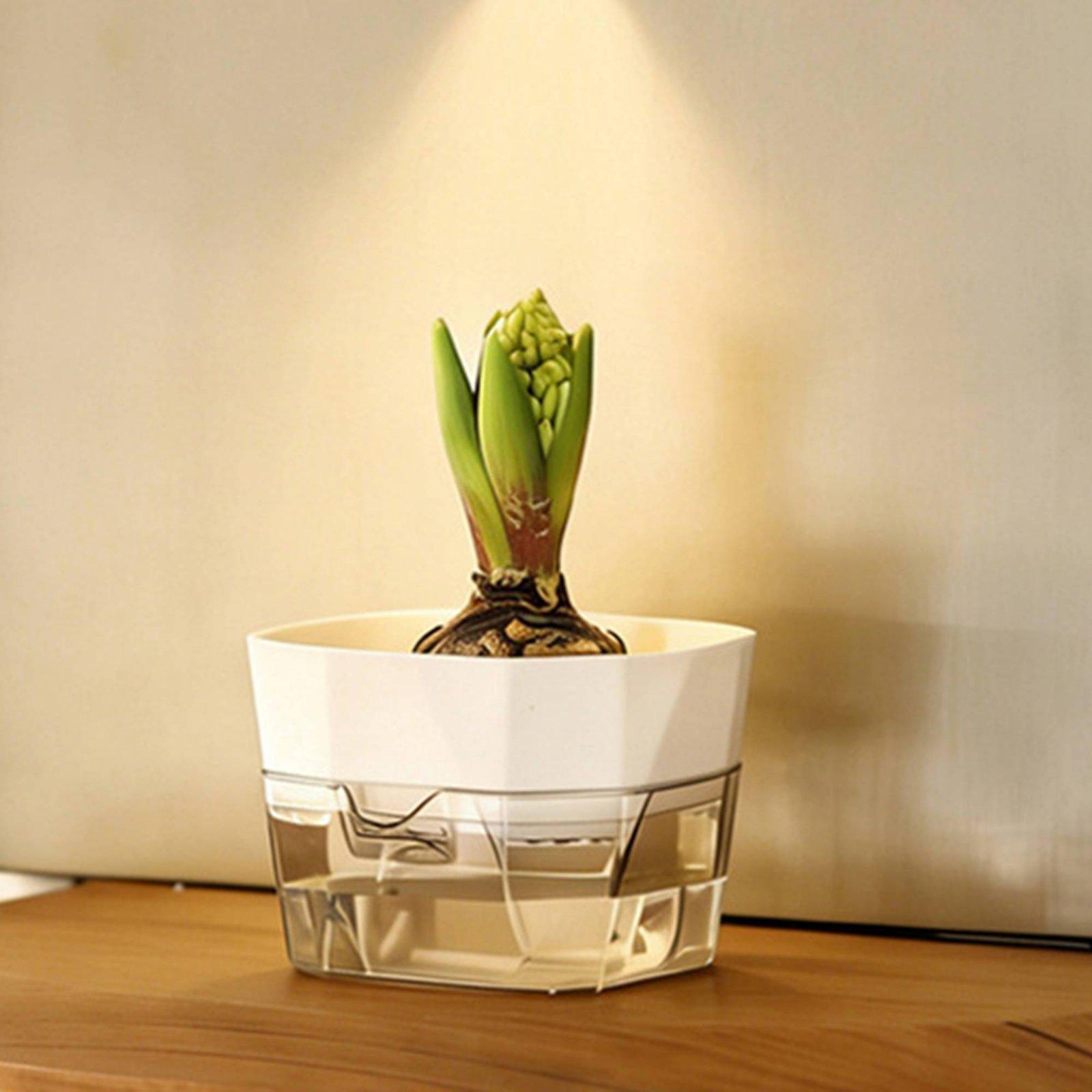Гидропонная ваза с двумя слоям – обзор и цена Self-Watering Planter