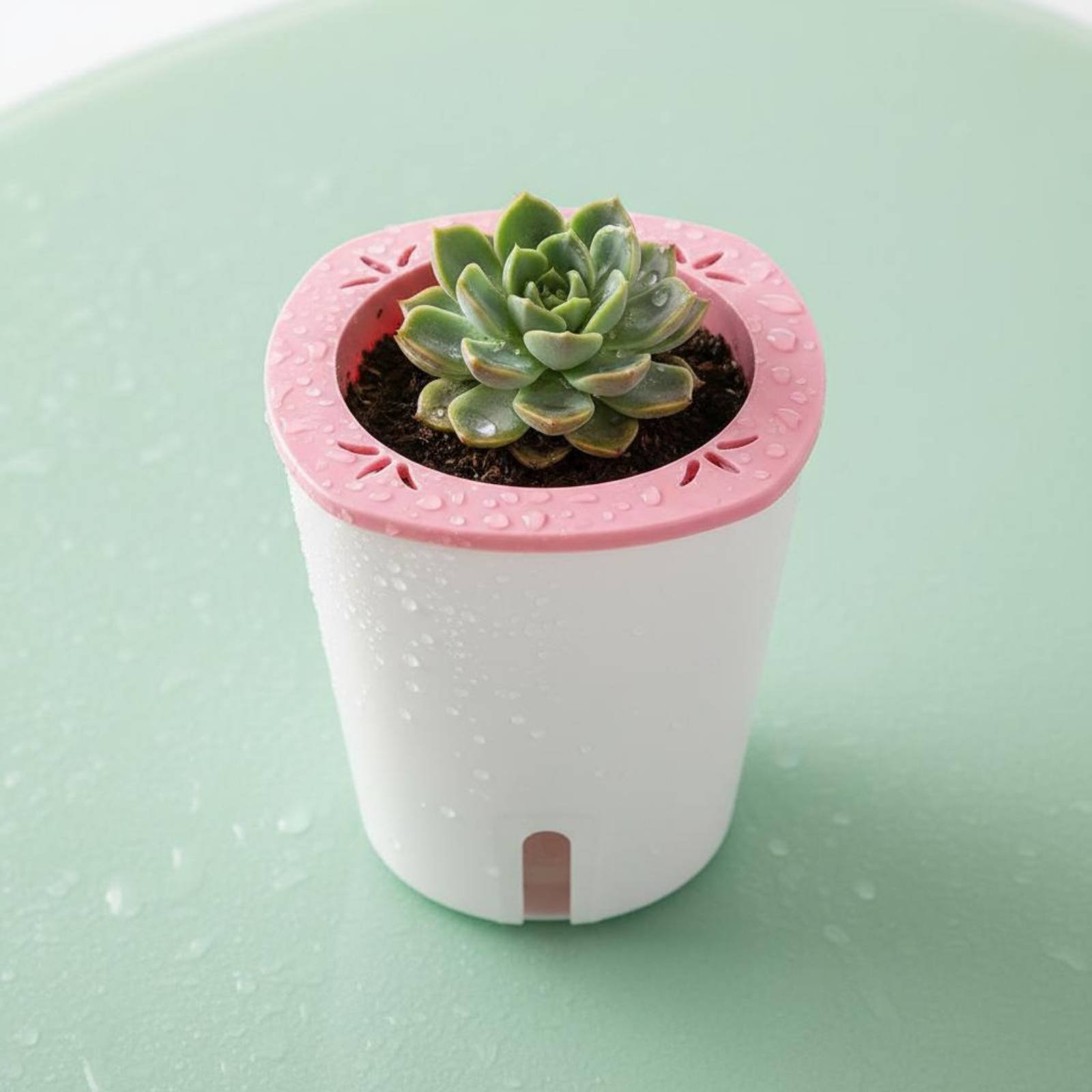 Самополивающийся горшок большо – обзор и цена Self-Watering Planter