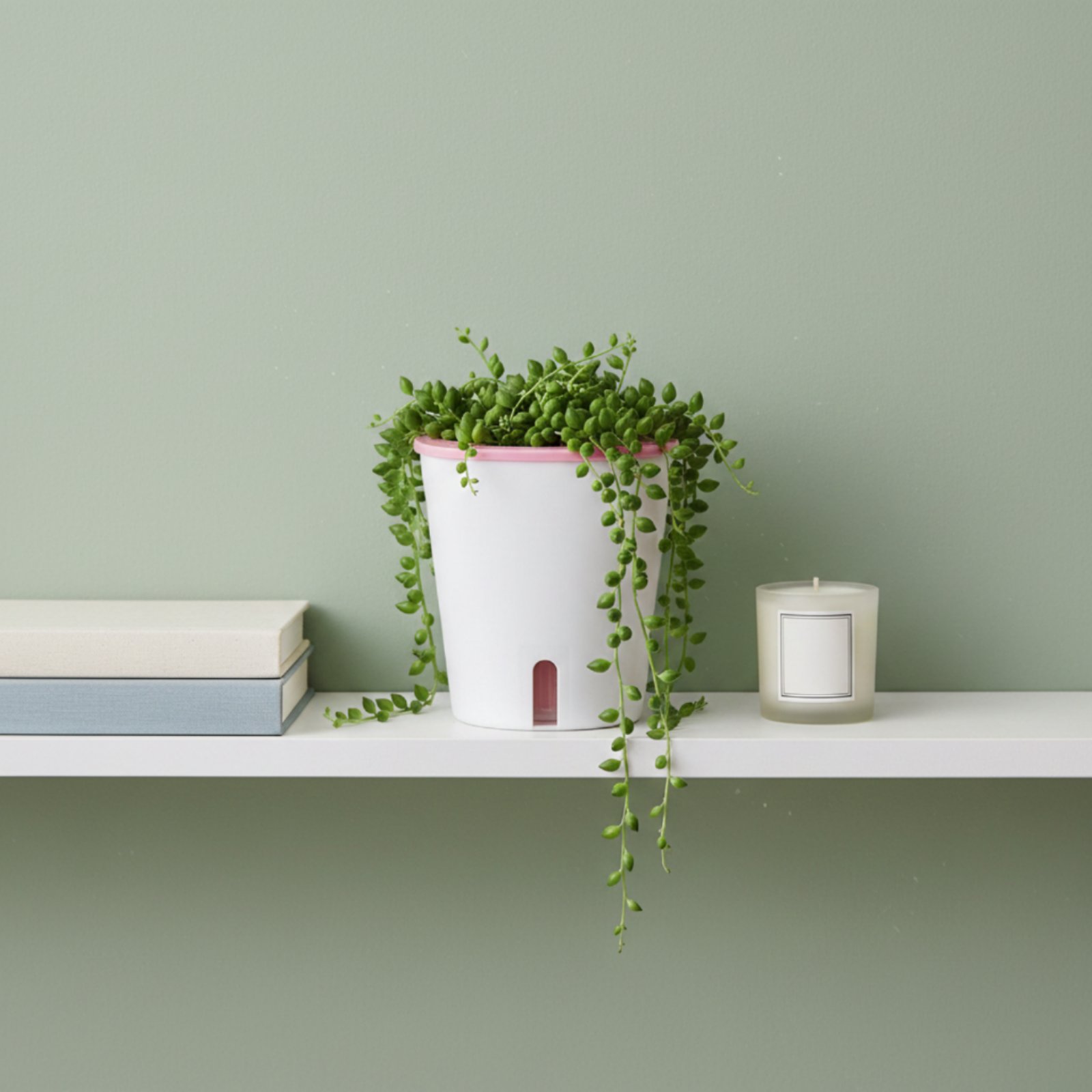 Самополивающийся горшок большо – обзор и цена Self-Watering Planter